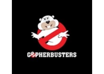 Gopherbusters