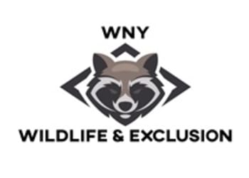 WNY Wildlife & Exclusion, LLC