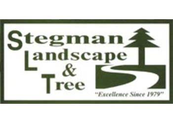 STEGMAN INDUSTRIES INC.