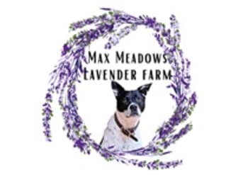 Max Meadows Lavender Farm