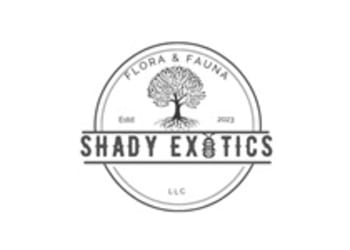 Shady Exotics