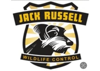 Jack Russell Wildlife Control