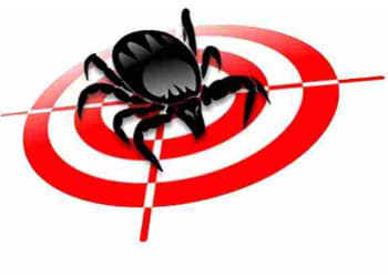 Eco-Tick Solutions Ottawa