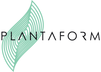 PLANTAFORM TECHNOLOGY INC