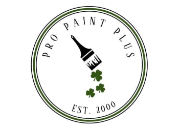 Pro Paint Plus / Pro Peinture Plus