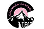 Colorado Lawyer Team