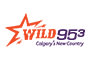 Wild953 Radio logo