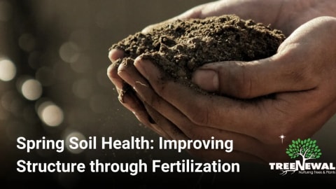 Spring Soil Health: Improving Structure through Fertilization