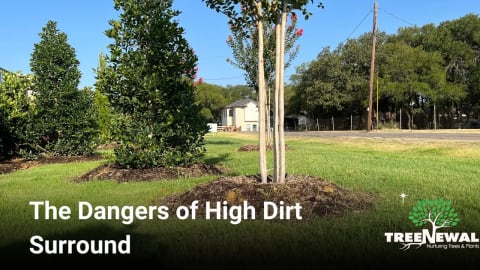 The Dangers of High Dirt Surround