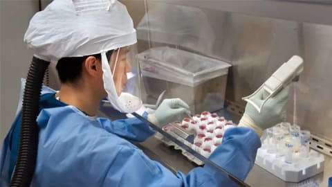 What Impact Does the Coronavirus have on Global Business?