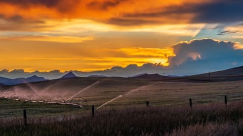 Is Our Greatest Natural Resource Relying on IoT to Save It?