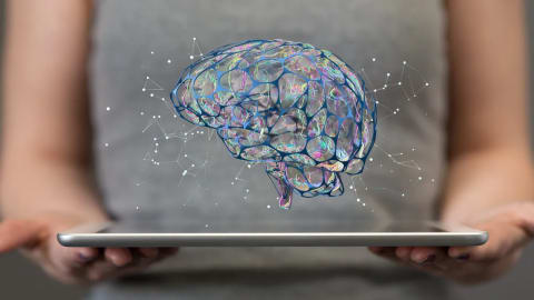 Biologists Figured Out How to Generate New Neurons in the Adult Brain,  Revolutionizing Neurodegenerative Disease Research