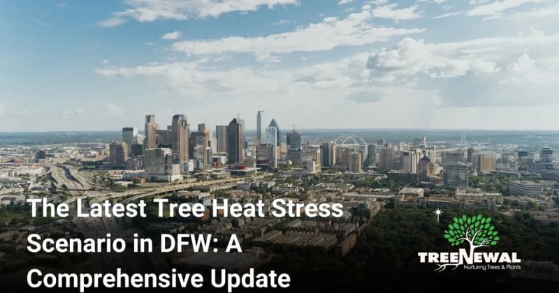The Latest Tree Heat Stress Scenario in DFW: A Comprehensive Update