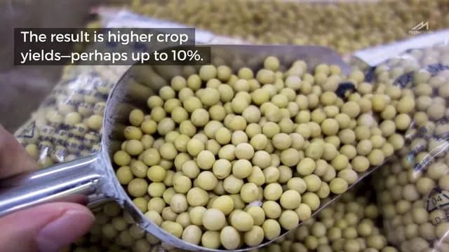 Watch: Improving Photosynthesis to Improve Crop Yields