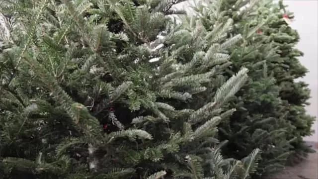 Your Tree May Be Coming Down The Chimney Too This Christmas