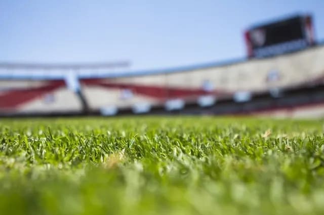 Listen: Are Stadiums The Solution To Revitalizing Downtown Areas?