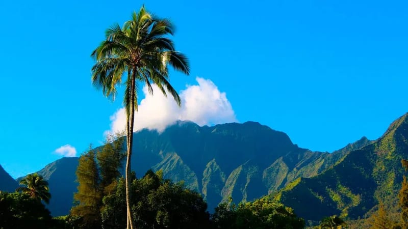 BREEZER MOBILE COOLING TO HIT HAWAII AT LANPAC 2018