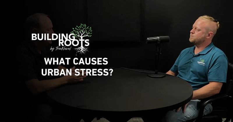 What Causes Urban Stress?