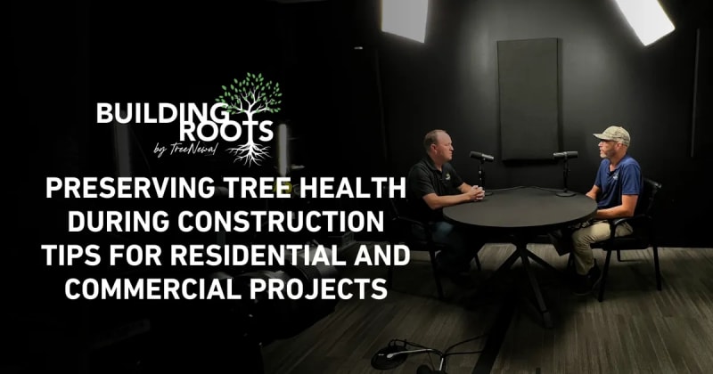 Preserving Tree Health During Construction Tips for Residential and Commercial Projects