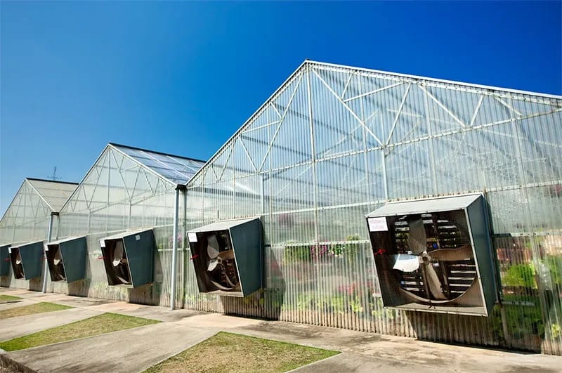 INFOGRAPHIC: CONTROLLING HUMIDITY AND CLIMATE IN GREENHOUSES