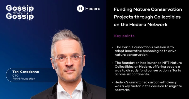 Gossip about Gossip: Funding Nature Conservation Projects through Collectibles on the Hedera Network
