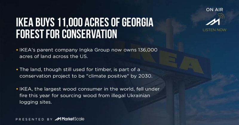 IKEA Buys 11,000 Acres of Georgia Forest