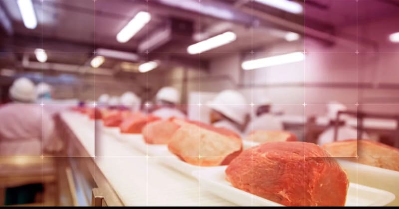 Regulating Humidity and Temperatures for the Food Industry