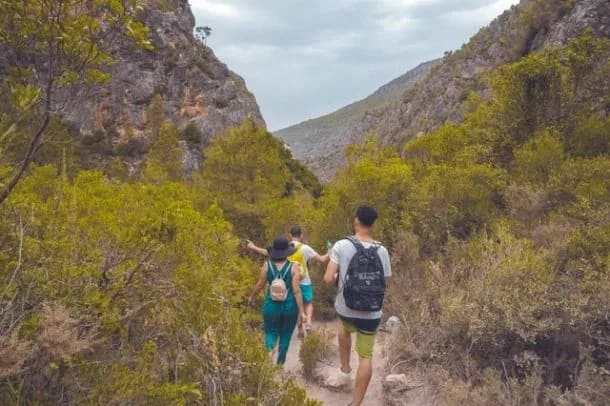 ROCK THOSE SEASONAL ACTIVITIES WITH PRESCO