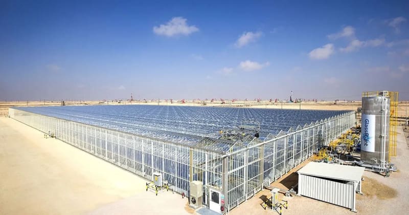 Siemens Partners With Dubai for Solar Hydrogen Plant