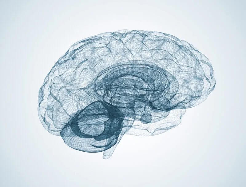 FDA Approves Neurotech Company for Testing Brain Chip in Humans