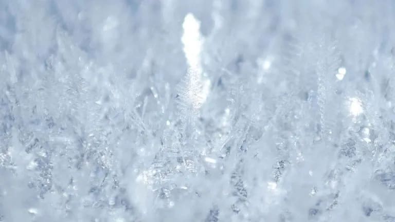 The Science Behind Ice Buildup on Walk-In Freezer Panel Joints