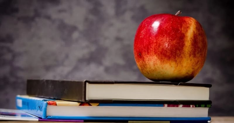 Utilizing Project Based Learning and “20 Percent Time” in Schools
