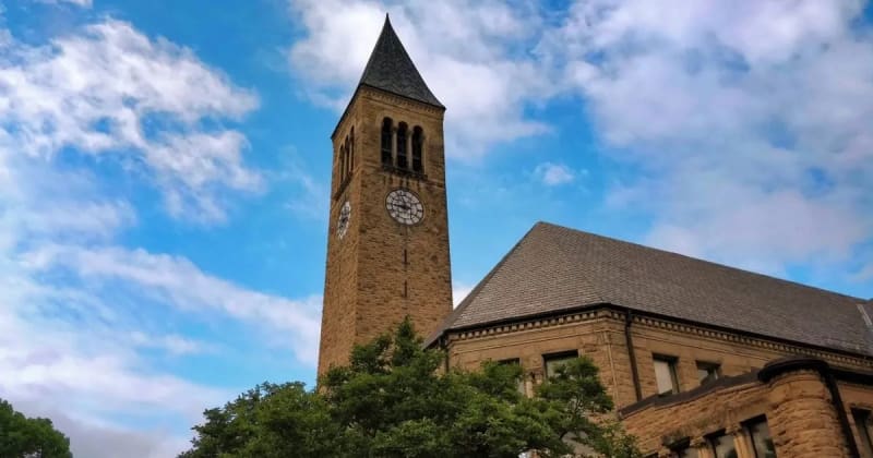 Six Stories of Six Weeks of Online Education