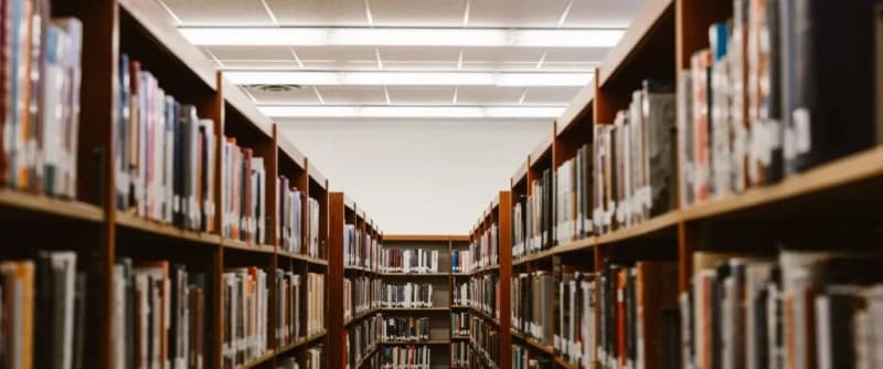 What Learning Systems Are On Higher Ed’s Buy List?