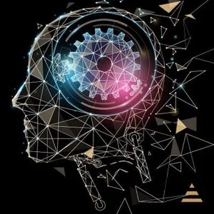 TechTalk: e-Commerce Meets Middleware: Startup Becomes Gateway to Consumer Trends