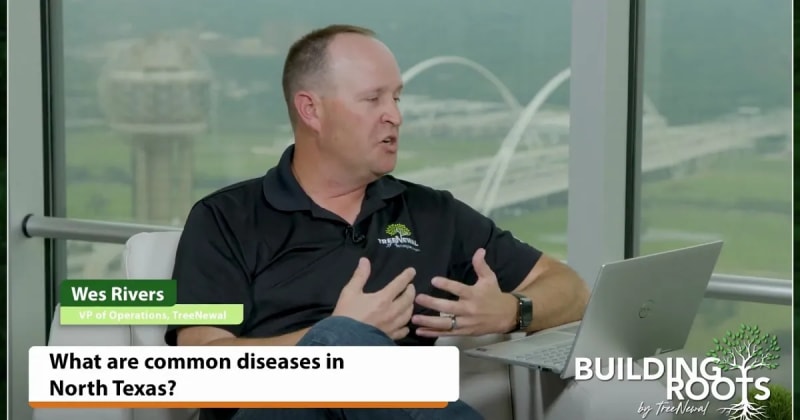 What Are Common Diseases In North Texas?