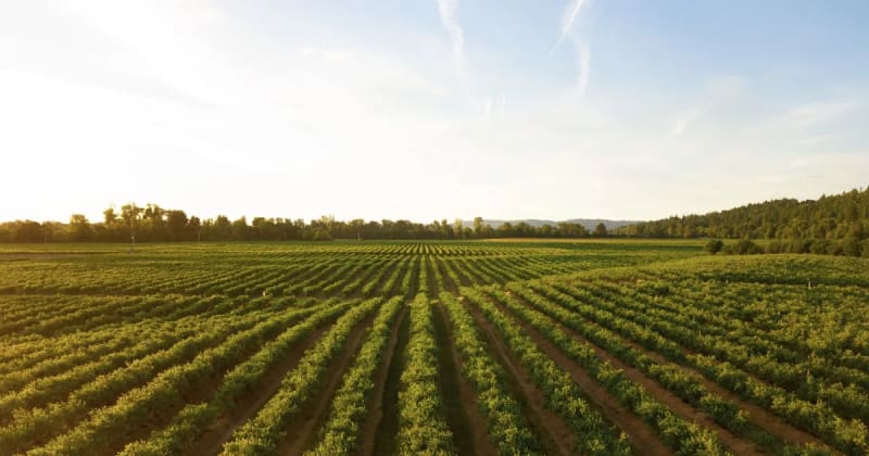The Future of Farming is Drones and Autonomous Equipment
