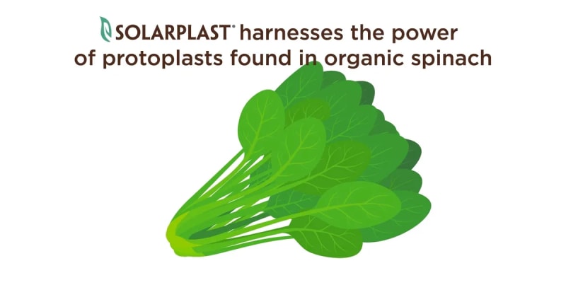 Solarplast®