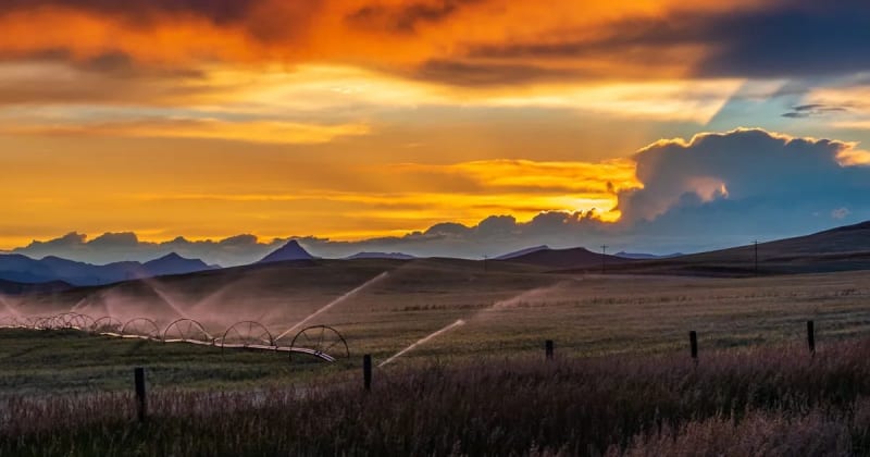 Is Our Greatest Natural Resource Relying on IoT to Save It?