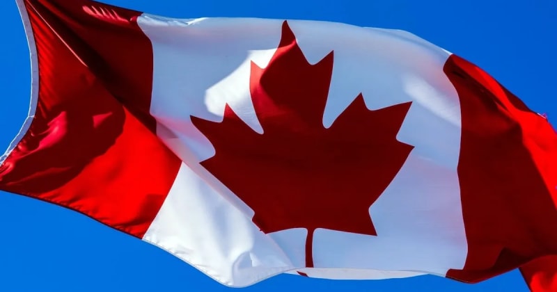 Understanding the Canadian AV Market
