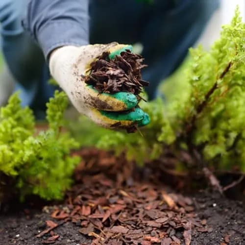 WeCare Denali Acquires Swanson Bark & Wood