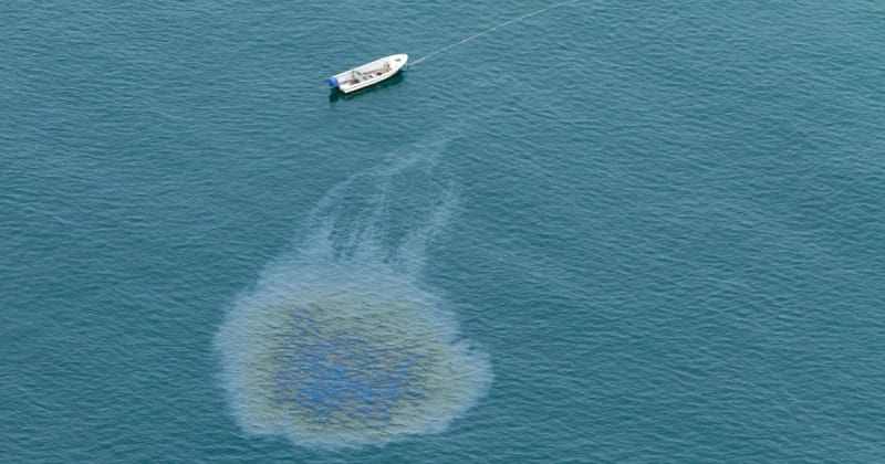 California Oil Spill is a “Tempest in a Teapot,” Oil Economist Says
