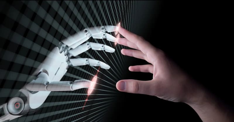 Weighing the Risks of AI Tools, From Demographic Bias to Privacy Violations