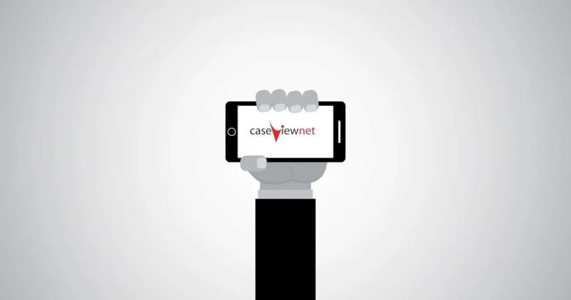 CaseViewNet: Realtime has never been easier