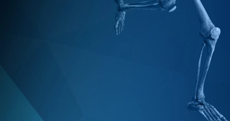 CurveBeam AI cover