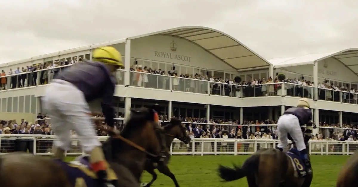 Bose Professional Case Study – Ascot Racecourse