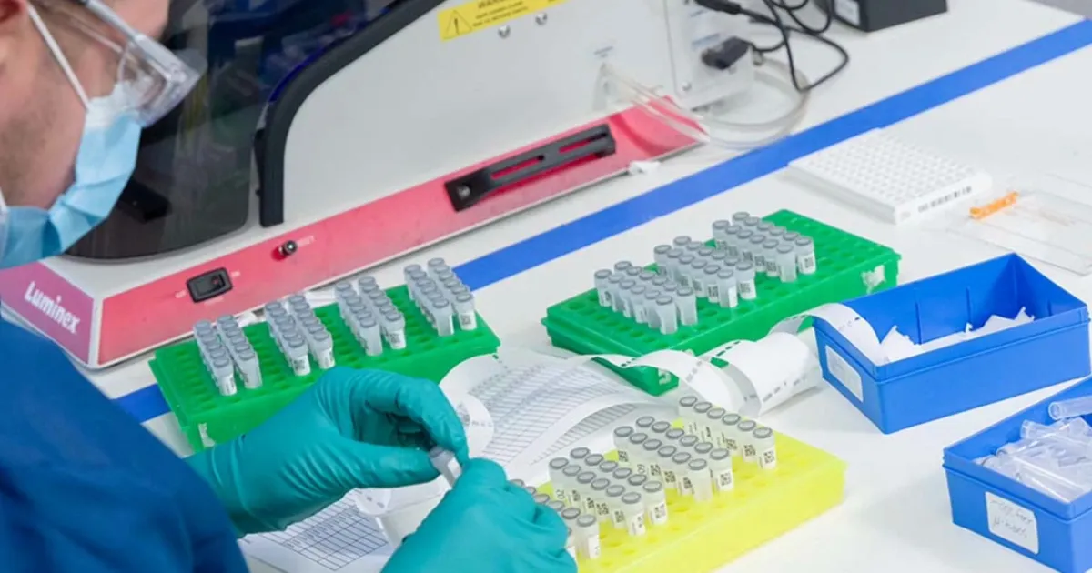 We Are Molecular Testing Labs
