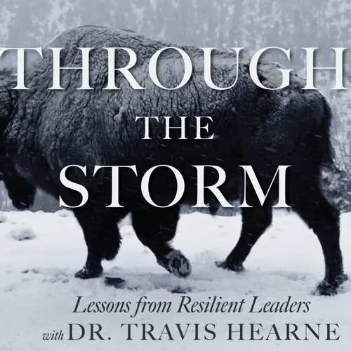 Through the Storm logo