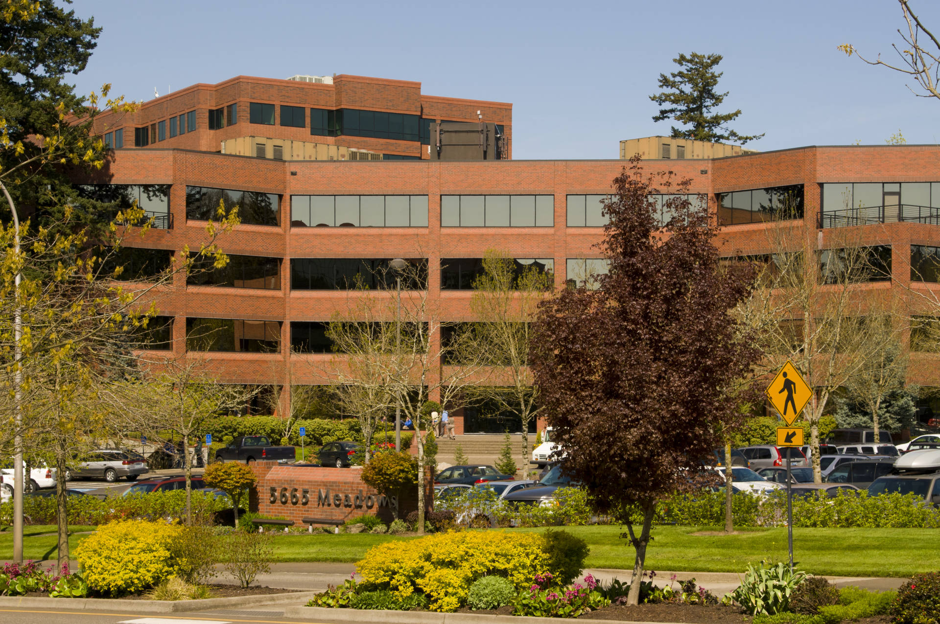 Kruse Woods IV, 5665 Meadows Rd | JLL Properties - US