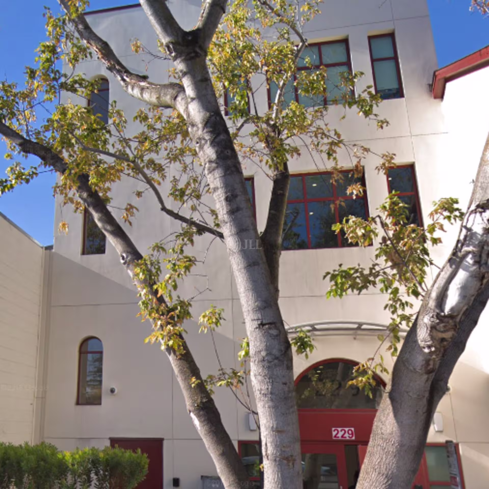 229 Forest Ave